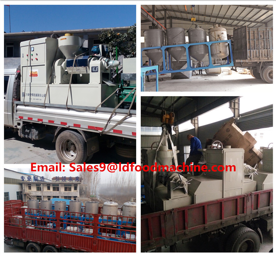 First Grade 100TPD corn oil extraction plant for customer