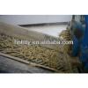 rice bran oil plant