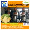 Avocado oil extraction machine from China biggest base