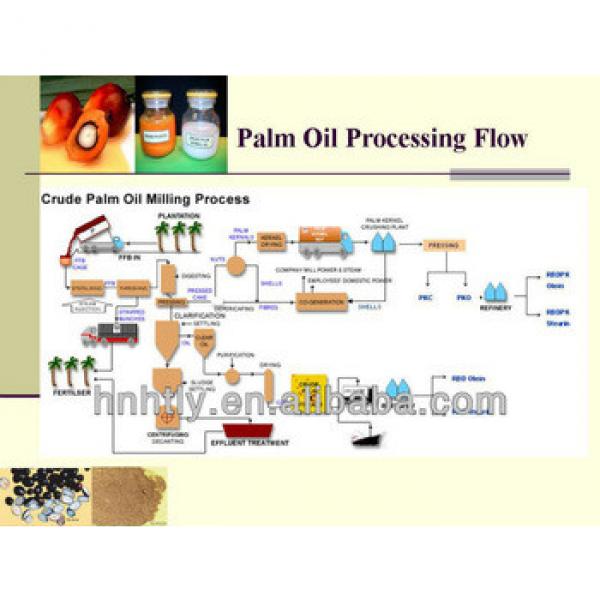 200-2000T/D palm oil production machine #3 image