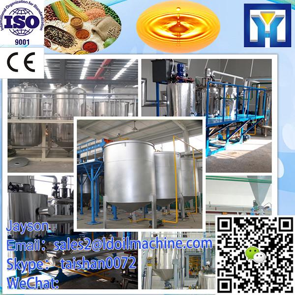 Brand new high quality salt peanut mixing machine with CE certificate #3 image