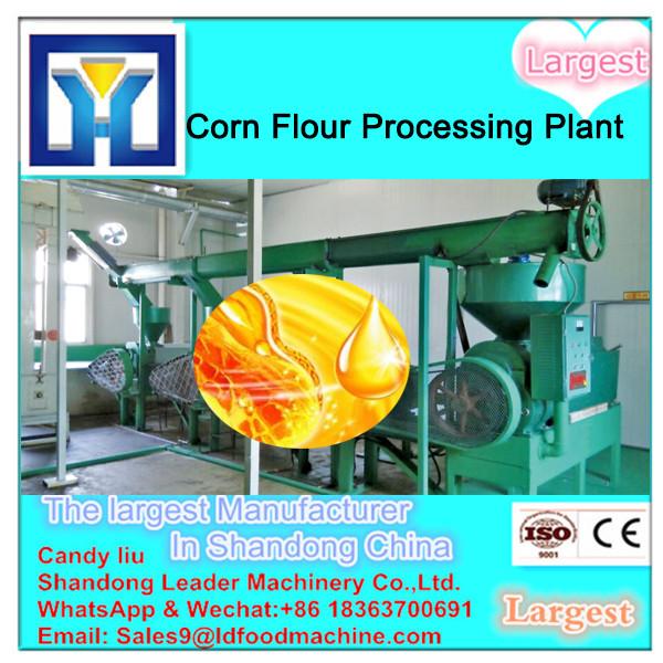 Niger Seed Oilseeds Pressing Machine #1 image