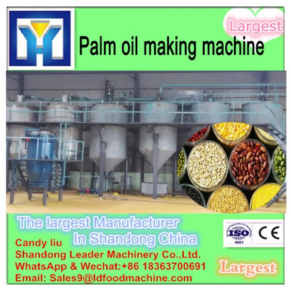 30 years experience factory price professional crude Palm oil extraction machine price in Malaysia #2 image