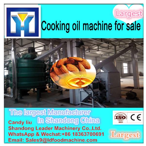 LD Advanced Technology Black Seed Oil Press Machine Can Be Customize #1 image