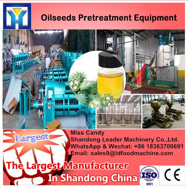 hot selling peanut oil press machine/6yl-100 screw oil press machine #1 image