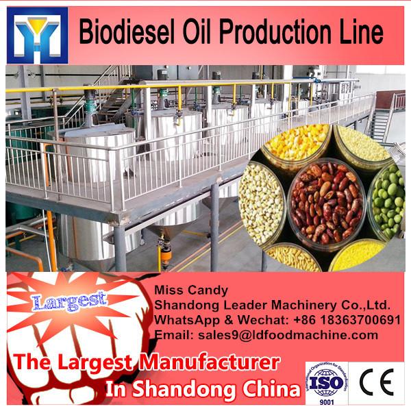 LD Hot sale soybean extruder machines #1 image