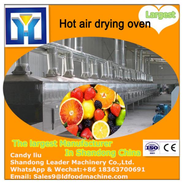 CT-C hot air chemical drying oven #1 image