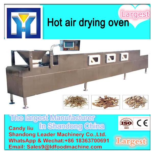 Corn/Flour/Potato Chips Hot Air Dryer Machine #1 image