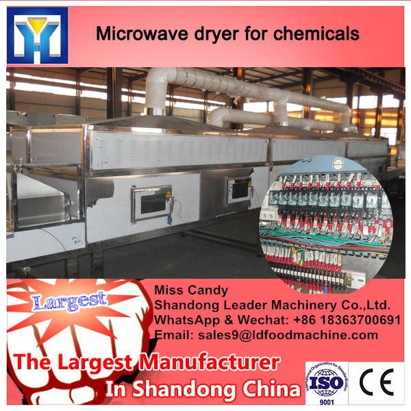 China Automatic Industrial Bean Drying Microwave Oven #1 image