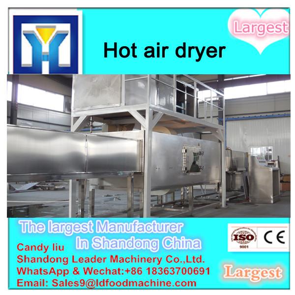 Hot air potato chips dryer #1 image