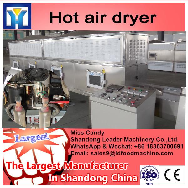 Hot air potato chips dryer #2 image