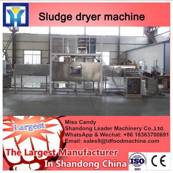 Energy saving China brand rotary paddle dryer design #1 image