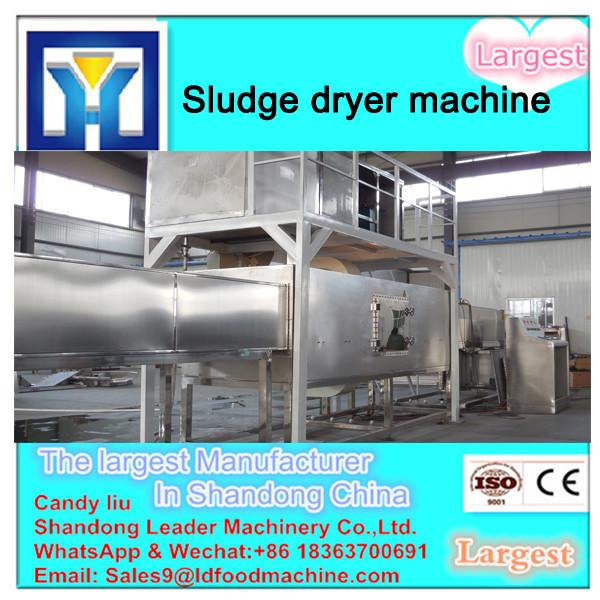 wedge-shaped paddle dryer #1 image