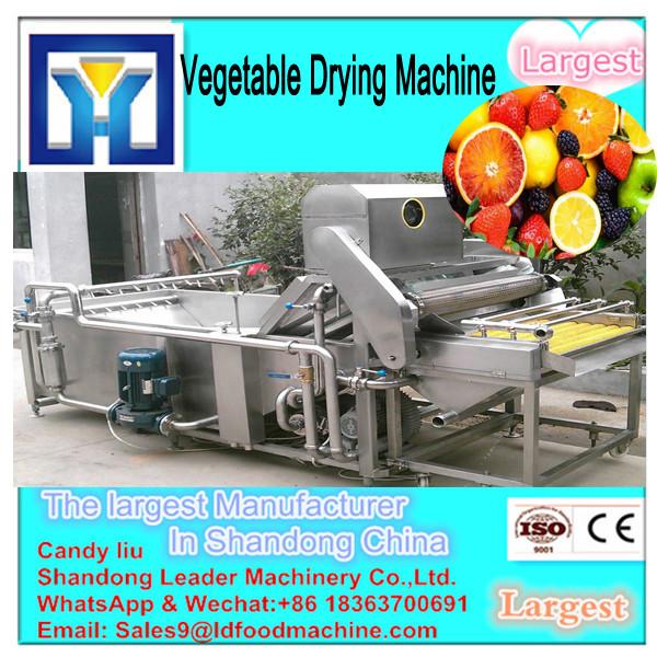 2.5 Ton Per Batch Drying Capacity Tomato Vegetable Dryer Machine #1 image