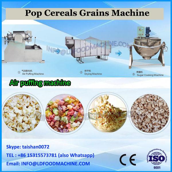 Grain/corn/maize/cereals disk mill machine #2 image